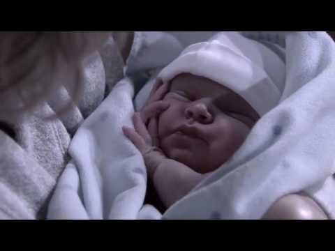 Bold and Beautiful 7329