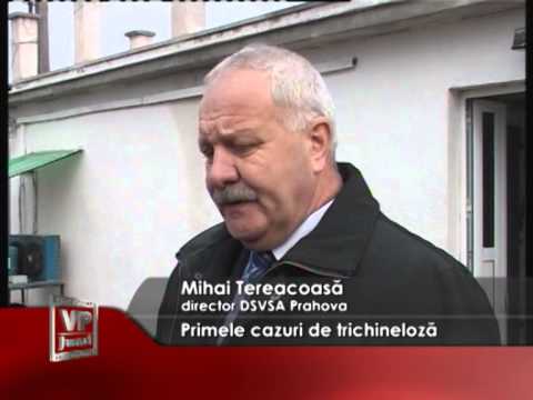Primele cazuri de trichineloză