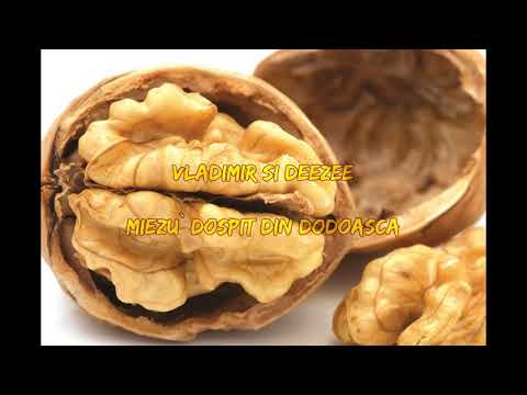 Vladimir I şi DeeZee  - Miezu` dospit din dodoaşcă