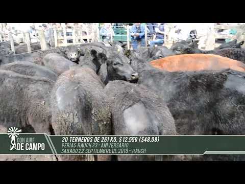 Resumen del Remate 33° Aniversario de Ferias Rauch - Sáb. 22 de septiembre de 2018 - Rauch