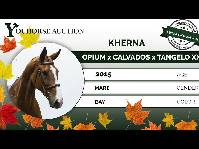 Kherna showvideo outdoor