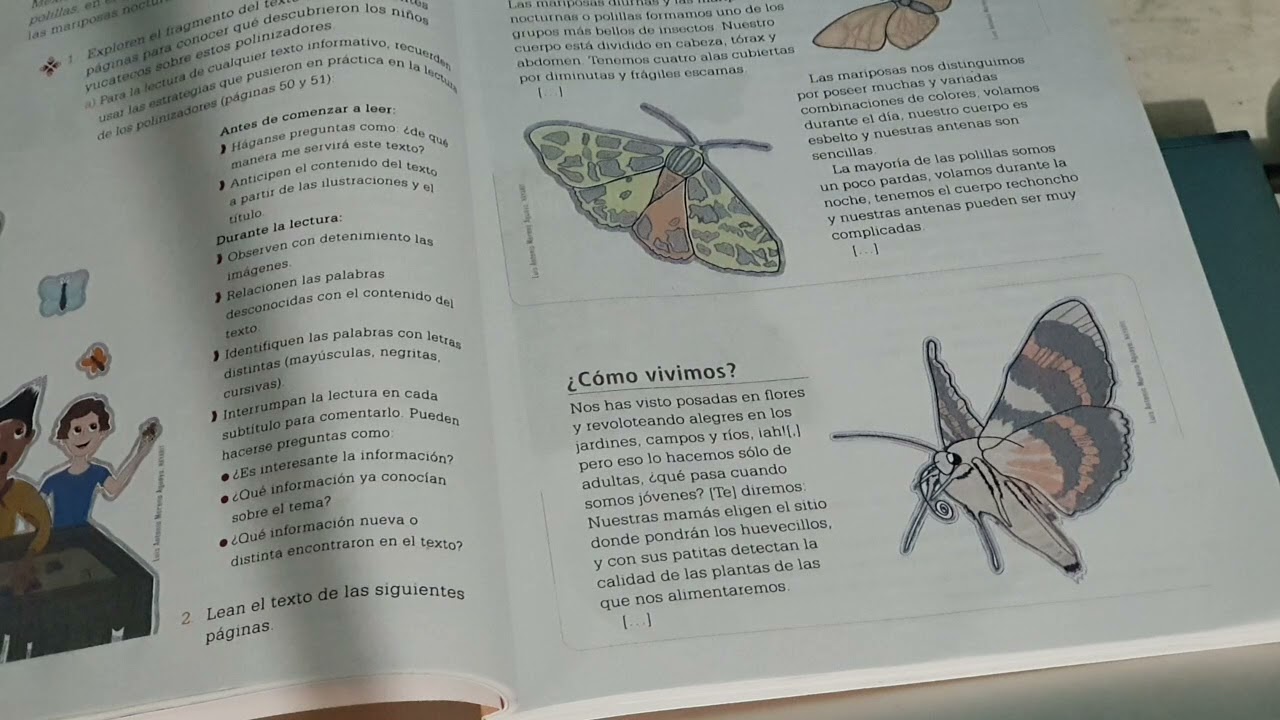 Watch ¿Cómo se lee un texto informativo Now ¿Cómo se lee un texto informativo