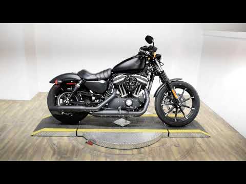 2019 Harley-Davidson Iron 883™ in Wauconda, Illinois - Video 1