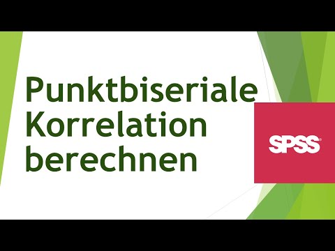 Punktbiseriale Korrelation in SPSS - Daten analysieren in  SPSS (115)