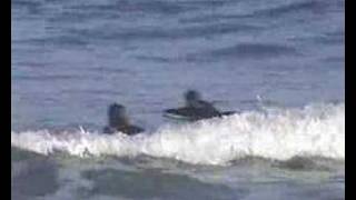 preview picture of video 'Bodyboard comillas 30-12-2006'