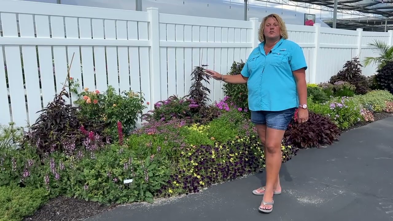 Late August Garden Center Garden Tour 2022