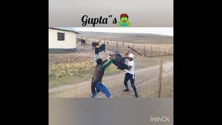 Download lagu amakwekwe asejekezi❤️🔥iseyindlalo kwedin mp3 Download lagu amakwekwe asejekezi❤️🔥iseyindlalo kwedin mp3