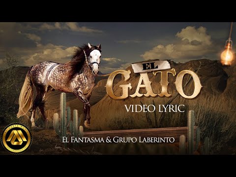 El Fantasma, Grupo Laberinto - El Gato (Letra Oficial)