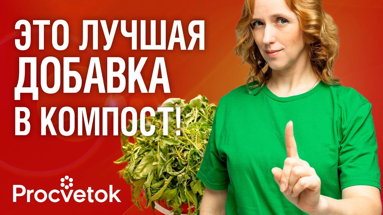 БОЛЬНУЮ БОТВУ, ОПАД И ДАЖЕ СОРНЯКИ С СЕМЕНАМИ МОЖНО КЛАСТЬ В КОМПОСТ, если знать этот важный нюанс