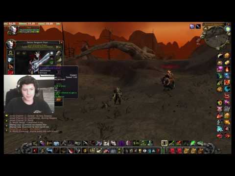 WoW vanilla 60 rogue Nostalrius / Elysium -Reckoning ret paladin notsoez