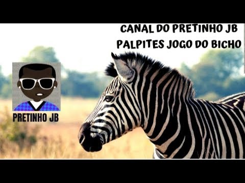 PALPITE DO JOGO DO BICHO - PARA O DIA 15/08/2019