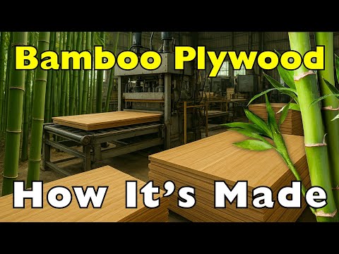 How Is Bamboo Turned Into Plywood? (From Grass to Board!)