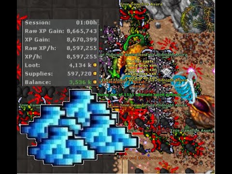 Paladin Level 2000 True Asura Solo! 3,5kk+ Gewinn/h - Tibia Global