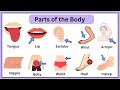 Body Parts In English Human Body Parts Names Learn Basic English Vocabulary