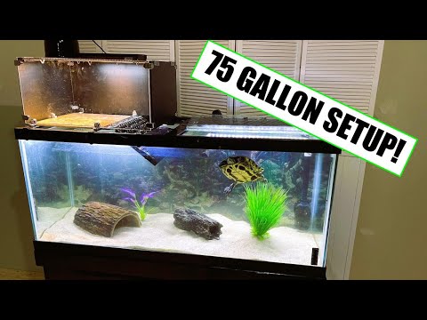 75 Gallon Turtle Tank Setup - Easy Build to Optimize Space!
