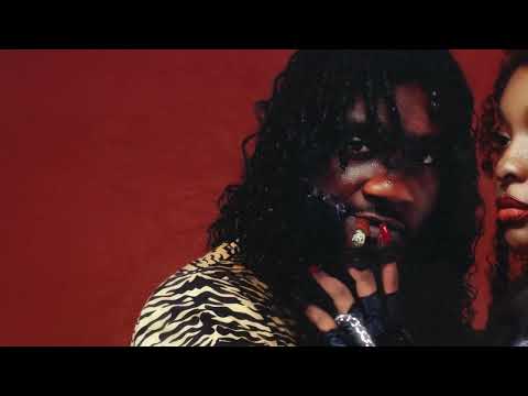 Chicken P - This Lil Bihhh (Official Visualizer)