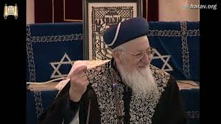 הלכות ברכות - שיעורי מנחת יהודה - מרן הרב מרדכי אליהו (הרב מרדכי אליהו זצ"ל) - התמונה מוצגת ישירות מתוך אתר האינטרנט יוטיוב. זכויות היוצרים בתמונה שייכות ליוצרה. קישור קרדיט למקור התוכן נמצא בתוך דף הסרטון