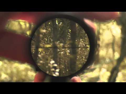 Nikon Buckmasters 3-9x40mm Scope with BDC Reticle