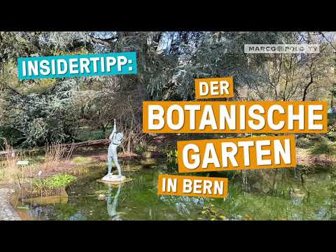 Schweizer Schätze! - Die Top Botanischen Gärten in Bern