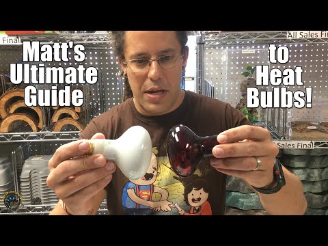 YouTube video about: Can you tan with a reptile bulb?