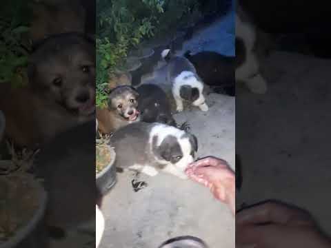 ۱۴ اکتبر ۲۰۲۴