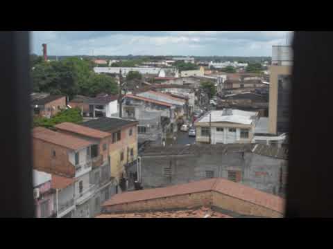 Samba Vespertino video