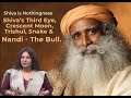 Shiva Is Omnipresent Nothingness