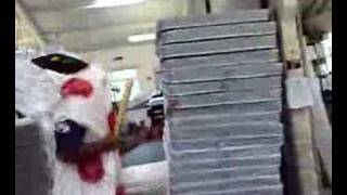 cock sparrer ---bats out