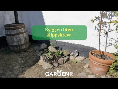 Bygg en liten klippskreva - Trädgårdshacks med GardenR