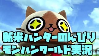 新米ハンターのモンハンワールドのんびり実況