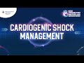 Cardiogenic Shock Management