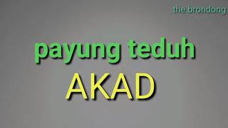 Download lagu PAYUNG TEDUH - AKAD (MP3) mp3