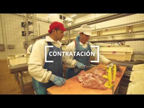 El pozo alimentacion | Contrata a 300 desempleados - Elpozo