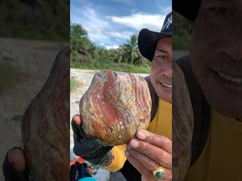 oh my god.. the discovery of red jasper in the river #Rockhounding ##AgateReveal ###Lapidary