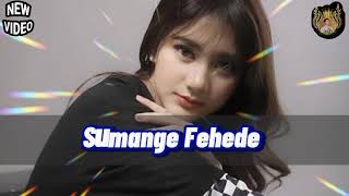 Download lagu Sumange Fehede Lagu Nias jadul mp3 Download lagu Sumange Fehede Lagu Nias jadul mp3