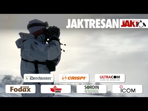 Jaktresan: Ripjakt i fjällen