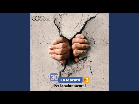 Quan Tot S'enlaira (El Disc de la Marató)