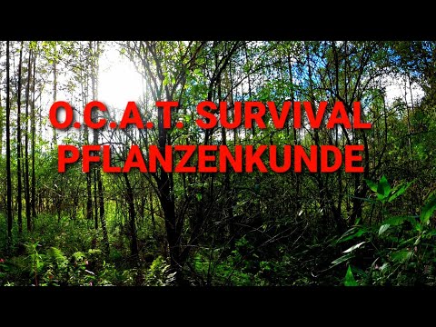 , title : 'O.C.A.T. SURVIVAL, Pflanzenkunde'
