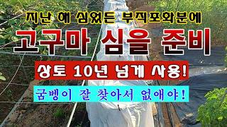 [텃밭농부 2,264]  지난해 고구마 심었든 부직포화분에 상토 꺼내어 밑거름 넣는 방법! #고구마재배
