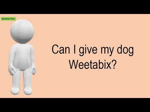 download lagu mp3 mp4 Can Dogs Have Weetabix, download lagu Can Dogs Have Weetabix gratis, unduh video klip Can Dogs Have Weetabix