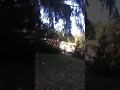 Random Videos Dang