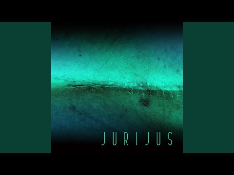 Dance In The Moonlight