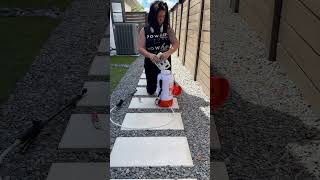 Landscaping Hack: Mulch Glue! #diyhomeprojects #diy