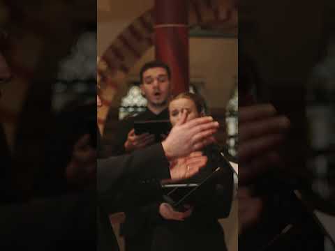 Play this at my funeral 🎑 | Tenebrae  #choir #music #vocal #acapella