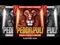 NUVV PEDDA PULI NEKKINAVAMMO 2024 BONALU SONG REMIX DJ PRAKASH SP DJ VISHNU PRAVEEN PG