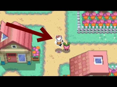 The WEIRDEST BUG In HEARTGOLD and SOULSILVER