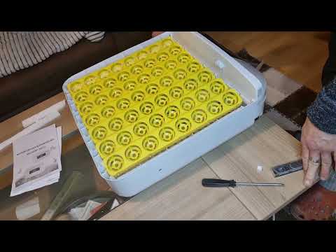 Die Zusammenfassung meiner Wachtelzucht in ca 20 min