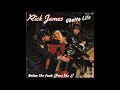 RICK JAMES: "GHETTO LIFE" [J*ski Extended]
