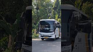 Download lagu naik bus damri kecil #bus #busmania #telolet #basuri #damri #bandara mp3 Download lagu naik bus damri kecil #bus #busmania #telolet #basuri #damri #bandara mp3