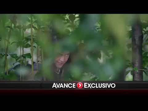 download lagu mp3 mp4 El Capo 4 Capitulo 1 Completo Mundofox, download lagu El Capo 4 Capitulo 1 Completo Mundofox gratis, unduh video klip El Capo 4 Capitulo 1 Completo Mundofox